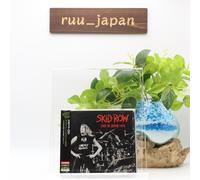 SKID ROW LIVE IN JAPAN 1995 TOKYO BAY NK HALL,URAYASU JUN.25TH 2CD JAPAN NUOVO