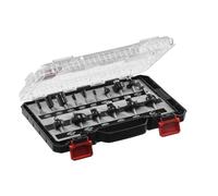 SKIL RTB7501 - Set di punte per fresa con punta in carburo, 15 pezzi