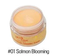 SKIN FOOD Salmon Darkcircle Concealer Cream 10g #01 Blooming / Face Concealer