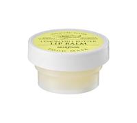 SKINFOOD - Lemon Dill Butter Food Mask Lip Balm 21ml