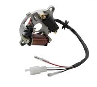 SKINII Statore Magnete Alternatore Moto Magneto Statore Bobina 3PT-85560-00 PW50 per Zinger 1981-2020 per Y-Zinger 2001-2015 Cablaggio Bobina
