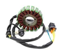 SKINII Statore Magnete Generatore Moto Magnete Statore Bobina per Kawasaki 21003-Y007 per KVF300 per Brute Force 300 2012-2022 Cablaggio Bobina
