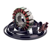 SKINII Statore Magneto Generatore Moto Statore Bobina per Fuoco 500 4T 4V Ie E3 LT 2007 2008 2009-2014 58108R Cablaggio Bobina