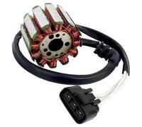 SKINII Statore Magneto Generatore Statore di Accensione per Moto Scooter 700cc-1099cc Sostituisce Il codice OEM: 2D1-81410-10 Cablaggio Bobina