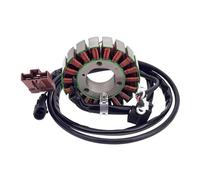 SKINII Statore per Moto Generatore per Moto Bobina statore per Fuoco 500 4T 4V Ie E3 LT 2007 2008 2009 2010 2011 2012 2013 2014 58108R Bobina Magnete per Moto Statore