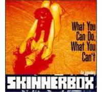 Skinnerbox NYC - What You Can Do What You Can't