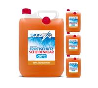 SkinStar Cannella Liquido Antigelo per Cristalli -20°C Chiari Vista & Protezione