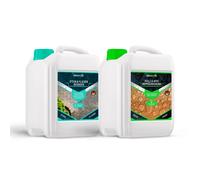 SkinStar Pietra Purificatore & Impregnazione Doppelpack Ogni 2,5L Pietra Patio