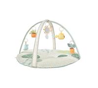 Skip Hop Baby Play Gym, Garden Oasis, Green Multi