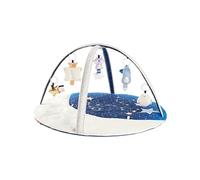 Skip Hop Celestial Dreams Activity Gym