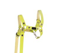 SKIPPI Cavezza per Hobby Horse - Verde Chiaro, Ecopelle, Hobby Horse Accessori, Set Redini, Taglia Unica