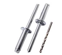 SKIR'CO 100 rivetti ciechi in acciaio zincato 6,0 x 20 mm, mandrino in acciaio, rivetti pop, testa a cupola, rivetti DIN 7337, punta da trapano inclusa