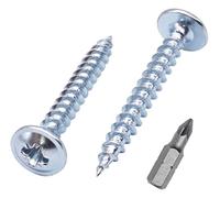 SKIR'CO 150 viti in acciaio zincato 4,0 x 30 mm argento legno viti metalliche, testa wafer, Pozidriv, autofilettanti