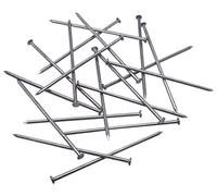 SKIR'CO Chiodi da costruzione in acciaio da 1,8 x 60 mm, testa piatta e rotonda, multiuso, per legno, 600 pezzi