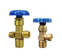 SKLIQMMV Interruttore valvola bombola Argon WP-15 Dimensioni Denti Fini e Grossolani QF-2 Standard Nazionale Sicurezza Ossigeno Testa Piena in Rame(with Safety Valve)