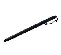 DIEDERICHS 9100503 Ammortizatore pneumatico, Cofano bagagli / vano carico