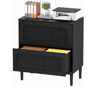 Skokliz Armadietto Portadocumenti con 2 Cassetti, Armadio Ufficio, Schedario Armadi da Ufficio, 75 x 40 x 81 cm, Cassettiera per Cartelle Sospese A4, Nero