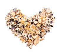 SKOOLOVE 300 Pezzi Mini Stelle Marine e Piccole Conchiglie Marine Mini Conchiglie Miste Stelle Marine Conchiglie Naturali per la Pittura sulla Spiaggia Arti e Mestieri Galleria Casa Fai da Te (160g)
