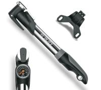 Minipompa SKS Injex Control 10 bar con manometro ( Nero e argento / 283 mm )