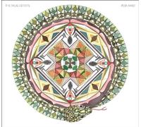 Skull Defekts - Peer Amid