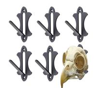Skull Hanger Set - 6 Pcs Steel Wall Mount Load Bearing Display Bracket | Skull Hook, Heavy Duty Metal Suspension, Hunting Trophy Decor European Cabin Wall Art Installation