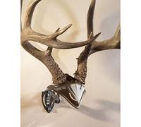 Skull Hooker SKH-BB-SC-ASSY, supporto per trofeo europeo con supporto per teschio, kit perfetto per appendere e montare teschi con cappuccio per esposizione, nero grafite, taglia unica