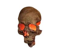Skull Night Light Human Skull Night Light Plug In, 3d Realistic Gothic Human Skull Light with On/off Switch,us Plug