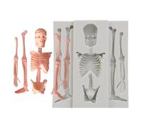 Skull Silicone Mold - Flexible Chocolate Candle Baking Casting Form, Spooky Epoxy Resin Cake Decorating Mould Kit, Home DIY Craft Dessert Soap Sculpture Making System Reusable Heat Resistant