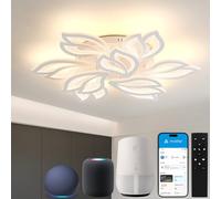 Sky angle Plafoniera LED Dimmerabile ALEXA e Google Home, Lampada da Soffitto Moderna per Soggiorno Camera da Letto Sala da Pranzo Bagno