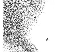 SKY BLUE SKY - WILCO