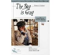 Sky Is Gray: American Short Story Collection [Edizione: Stati Uniti]