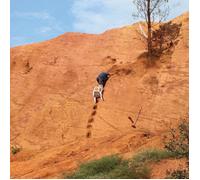 Caroline – Skydiving Onto the Library Roof / Everything for Everyone – Vinile LP