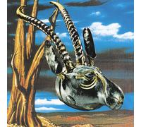 Skygreen Leopards Jehovah Surrender (CD) Single
