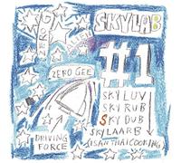 Skylab - No 1