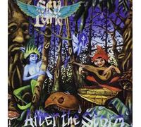 Skylark - After the Storm by Skylark (2010-12-21)
