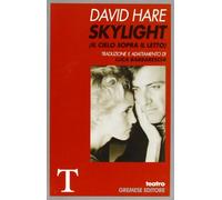 Skylight. Il cielo sopra il letto