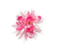 SkyPOOU Fermaglio per capelli a forma di fiore, per donne e ragazze, accessorio per capelli, accessorio per capelli floreale, per matrimoni e feste, fucsia