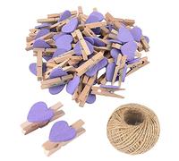 SKYPRO 50 mini mollette in legno viola a forma di cuore, multicolore, piccole mollette con cuore, clip per foto da 3 cm, piccole mollette con cordino per esporre foto, artigianato fai da te
