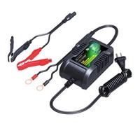 SKYRICH CARICABATTERIA MANTENITORE CHARGER HBC-LF0202 BATTERY LITIUM