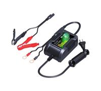 Skyrich Caricabatterie HBC-LF0202 Intelligente 12V 2Ah per Batterie Litio Piombo Gel