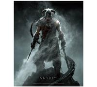 Skyrim Wallscroll Dragonborn [Edizione: Germania]