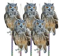 Skystuff 5 Pezzi Dissuasore per Piccioni, Dissuasori per Piccioni, Dissuasori per Uccelli, Repellente Scaccia, Piatto Plastica Falso Spaventa Gufo Scaccia Allontana Anti Balcone