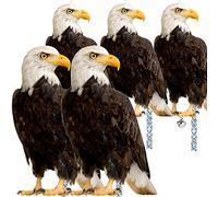 Skystuff Spaventapasseri Gufo Dissuasore Uccelli, Nastro Antiuccelli per Esterno Appendibile, Spaventapasseri Riflettente Falco Appendibile Riflettente con Campanelli, 5 Pezzi