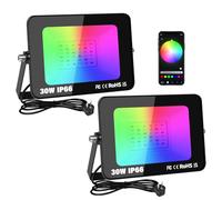 SKYWORLD 2 pezzi Faretto Led RGB Esterno 30W,Faretti RGB da Esterno con APP Bluetooth e Tempi,16 Milioni Colori,IP66 Impermeabile Fretto RGB per Giardino Terra Partito Giardino Cortile Pasqua