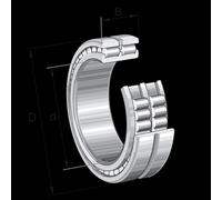 SL024934-A-2S INA 170 x 230 x 60 mm CYL. ROLL. DOUBLE ROW Doppia fila di rull...