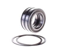 SL045010-PP-2NR INA 50 x 80 x 40 mm CYL. ROLL. DOUBLE ROW Doppia fila di rull...