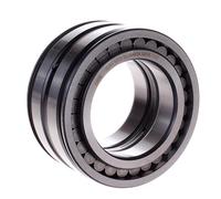 SL045011 INA 55 x 90 x 46 mm CYL. ROLL. DOUBLE ROW Doppia fila di rulli cilin...