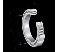 SL182960-TB-C4 INA 300 x 420 x 72 mm CYL. ROLL. SINGLE ROW Fila singola di ru...
