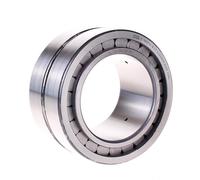 SL185014-A-C3 INA 70 x 110 x 54 mm CYL. ROLL. DOUBLE ROW Doppia fila di rulli...