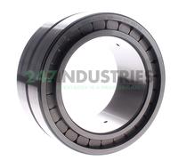 SL185020-A-C3-2S INA 100 x 150 x 67 mm CYL. ROLL. DOUBLE ROW Doppia fila di r...